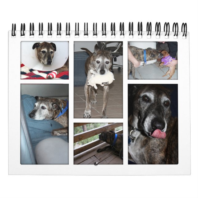 Custom Photo Calendar (Cover)