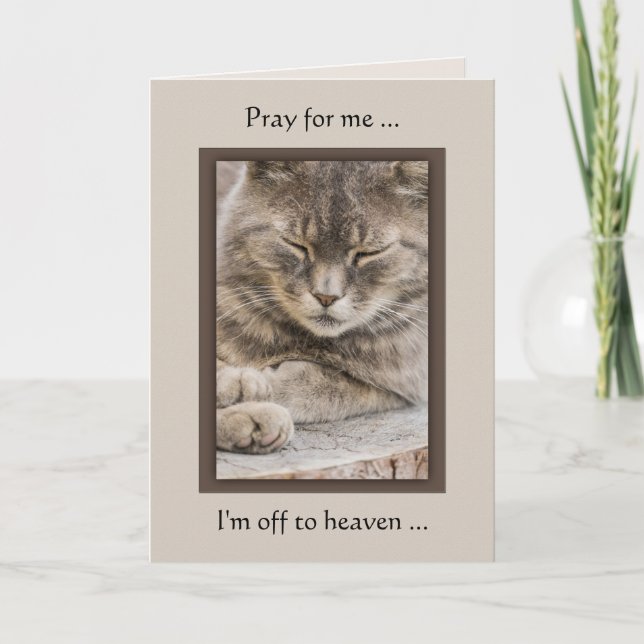Custom Photo Cat Sympathy Card (Front)