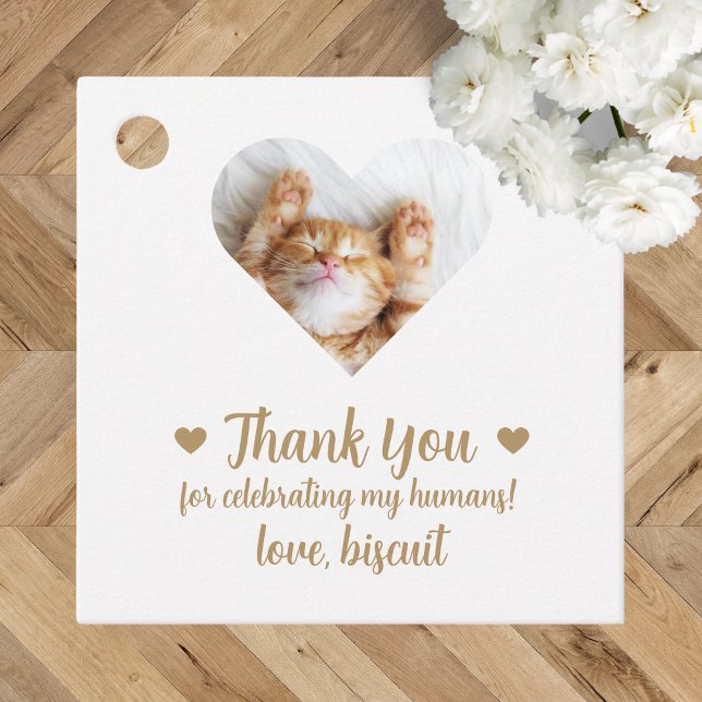Custom Photo Cat Wedding Favour Tags (Creator Uploaded)
