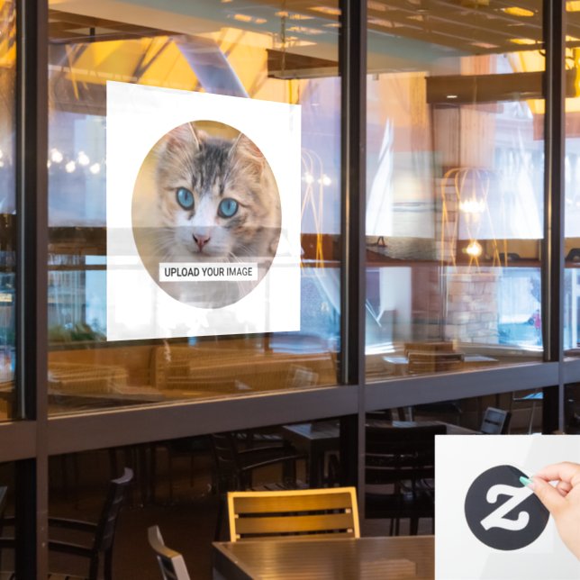 Custom Photo Cats Pet Shop (Restaurant Window)