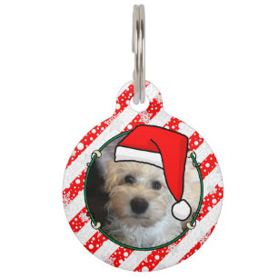 Custom Photo Christmas Santa Hat Pet HO HO HO Pet Tag