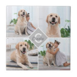 Custom Photo Collage Monogram Name Dog Tile<br><div class="desc">Celebrate your best friend with a custom Monogram Pet Photo Collage ceramic tile . When you have so many fun memories and photos , one photo isn't enough . Our Dog Photo tile has four photos. Whether you have a new puppy , or to memorialise all the special moments thru...</div>