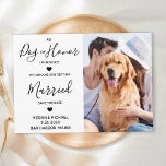 Custom Photo Dog Of Honour Pet Wedding Save The Date<br><div class="desc">Let your Best Dog announce your wedding with this modern and elegant As 'Dog of Honour' I announce 'My Humans Are Getting Married' pet dog save the date cards. Customise with your best dog's favourite photo, and personalise with names, date, and wedding location. COPYRIGHT © 2020 Judy Burrows, Black Dog...</div>