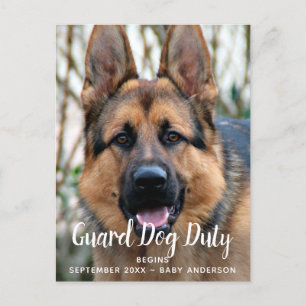 Custom Photo Guard Dog Duty Pregnancy Announcement Postcard
