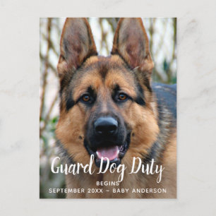 Custom Photo Guard Dog Duty Pregnancy Announcement Postcard