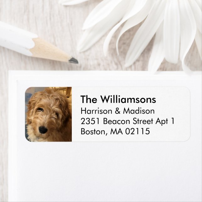 Custom photo image black white Return Address  (Insitu)