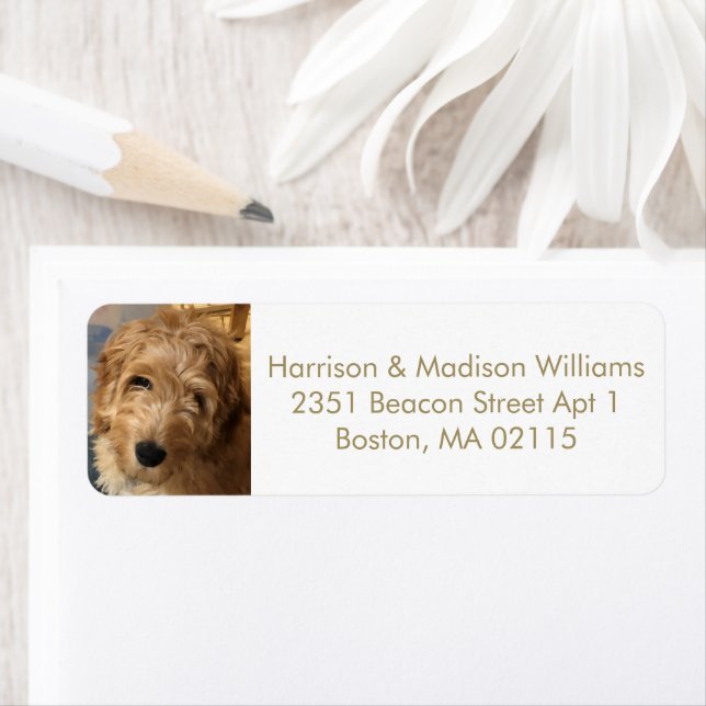 Custom photo image gold modern Return Address (Insitu)