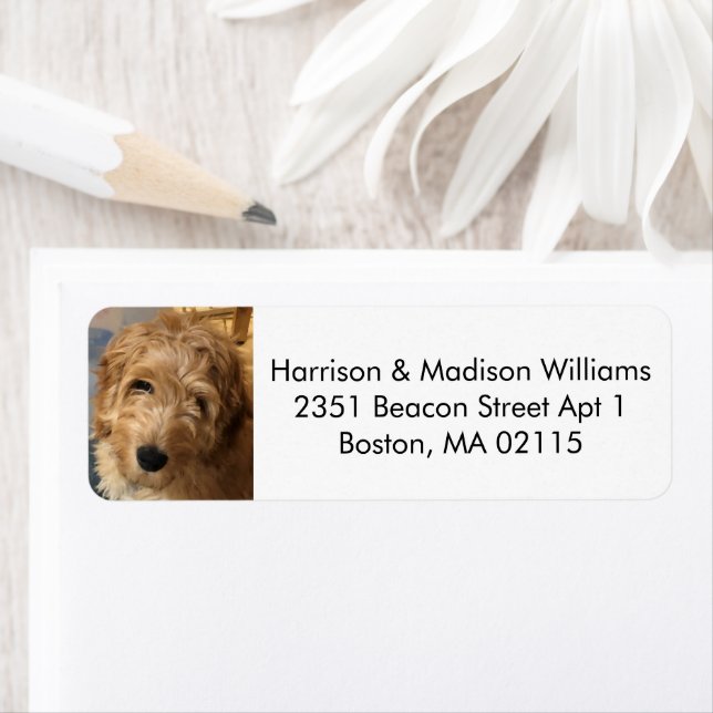 Custom photo image modern cute Return Address  (Insitu)