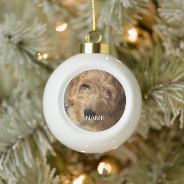 Custom photo image picture name ceramic ball christmas ornament (Tree)