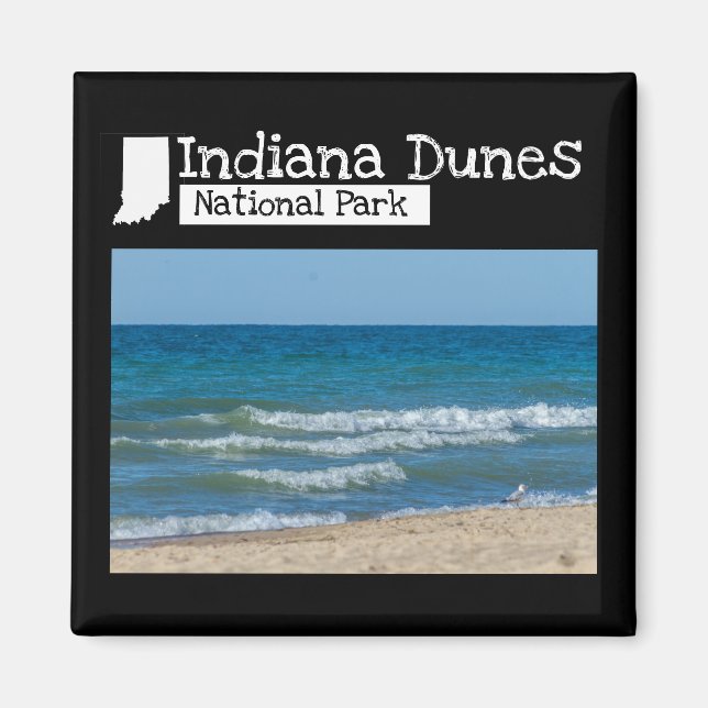 Custom Photo - Indiana Dunes National Park Magnet (Front)