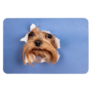 Custom Photo Magnet