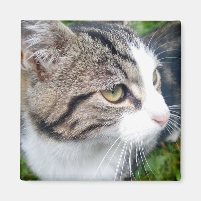 Custom photo magnet for fridge | Your image here (Front)