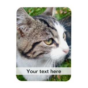 Custom photo magnet Upload your image here