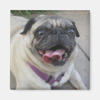 Custom Photo Magnets