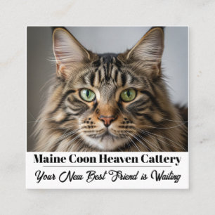 Custom Photo Maine Coon Cattery Business Card