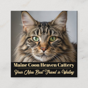 Custom Photo Maine Coon Cattery Business Card