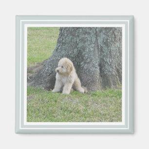 Custom Photo Modern Cute Family Simple Green White Magnet