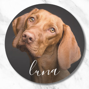 Custom Photo Personalised Pet Name  Classic Round Sticker