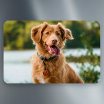 Custom Photo Personalised Picture Magnet<br><div class="desc">Create a unique keepsake with a custom photo personalised picture, perfect for capturing and displaying cherished memories. Simply upload your favourite photo, and transform it into a beautiful piece of art that can be framed or used on various personalised items like canvas prints, mugs, or cushions. Whether it’s a family...</div>