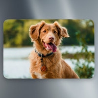 Custom Photo Personalised Picture