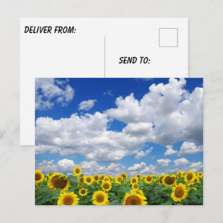 Custom Photo Personalised Postcard