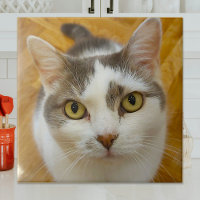 Custom Photo Personalised