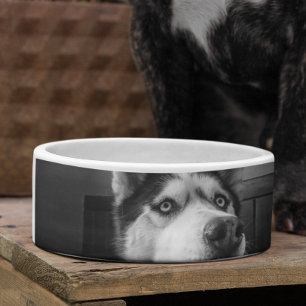 Custom Photo personalized dog cat pet dish