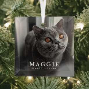 Custom Photo Pet Cat Memorial Tribute Christmas  Glass Tree Decoration