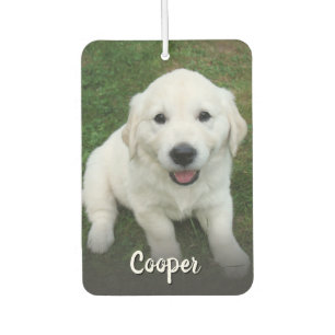 Custom Photo Pet Dog Photo Automobile Car Air Freshener