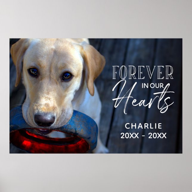 Custom photo pet memorial with typography poster (Front)