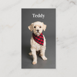 Custom Photo Pet Puppy Dog Social Media QR Code  Business Card