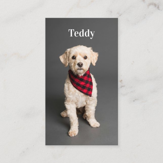 Custom Photo Pet Puppy Dog Social Media QR Code  Business Card (Front)