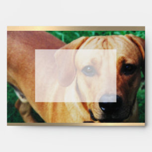 Custom Photo Printed On Envelope