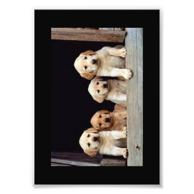 CUSTOM PHOTO PRINTS (Front)