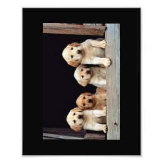 CUSTOM PHOTO PRINTS 8 X 10