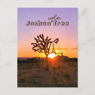 Custom Photo Purple Orange Sunset Joshua Tree Postcard