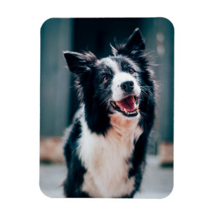 Custom Photo Refrigerator Magnet