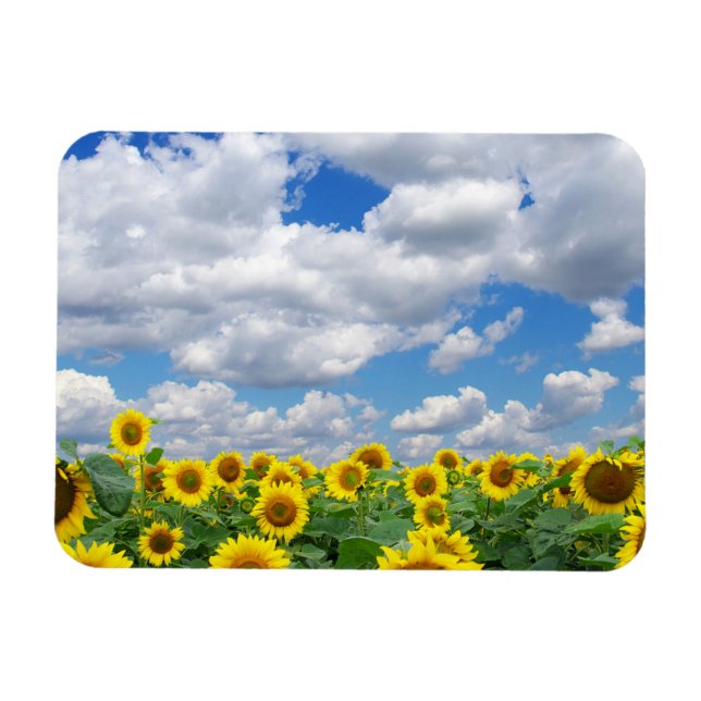 Custom Photo Refrigerator Magnet (Horizontal)