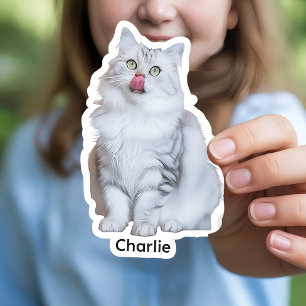 Custom Photo Stickers   Personalised Vinyl Decals