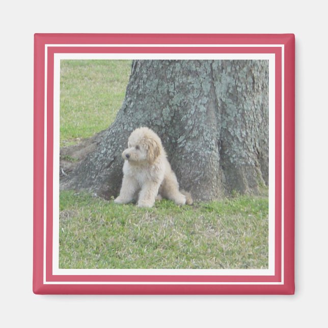 Custom Photo Template Bright Hot Pink & White Magnet (Front)