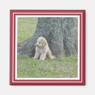 Custom Photo Template Crimson Red & White Magnet