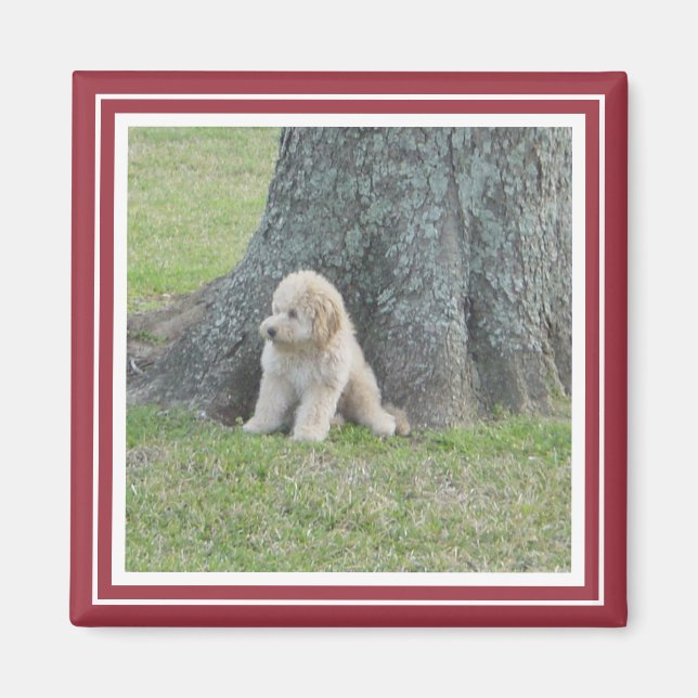 Custom Photo Template Crimson Red & White Magnet (Front)