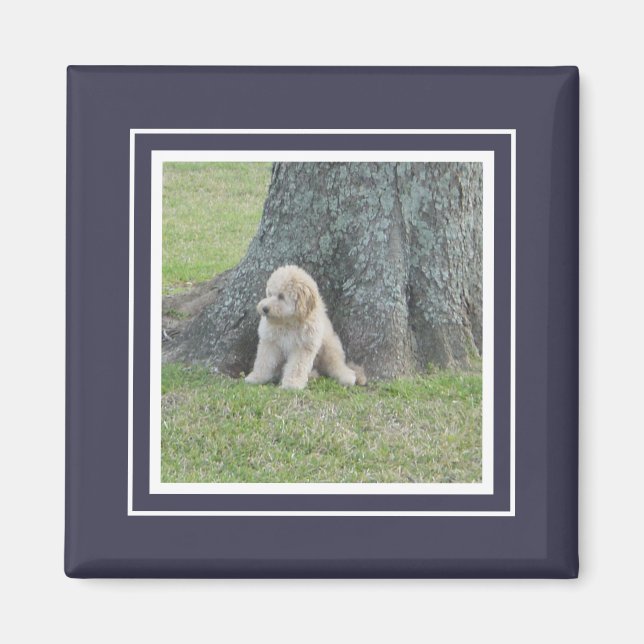 Custom Photo Template Dark Blue & White Magnet (Front)