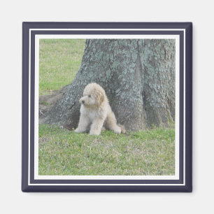 Custom Photo Template Frame Blue & White Modern Magnet