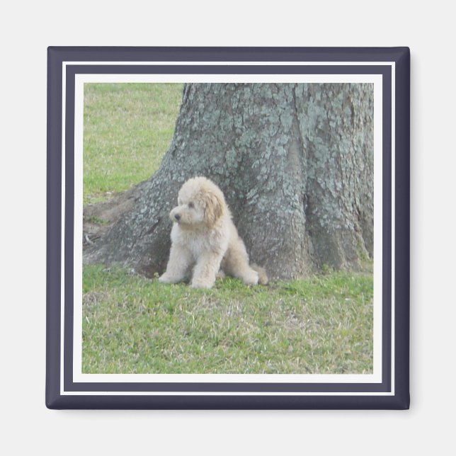 Custom Photo Template Frame Blue & White Modern Magnet (Front)