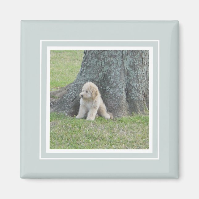 Custom Photo Template Modern Simple Green White Magnet (Front)