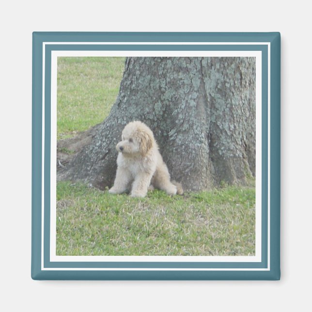 Custom Photo Template Modern Turquoise & White Magnet (Front)