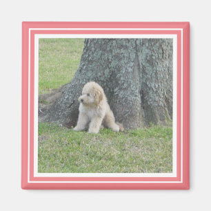 Custom Photo Template Soft Pink Coral& White Magnet