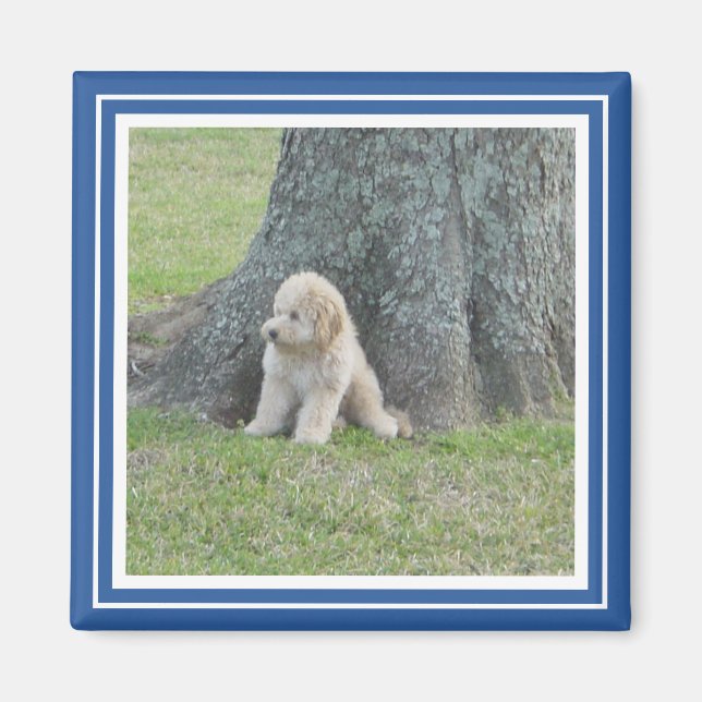 Custom Photo Template Stylish Royal Blue & White Magnet (Front)