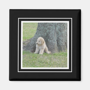 Custom Photo Template True Black & White Magnet